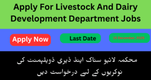 Apply For Livestock And Dairy Development Department Jobs