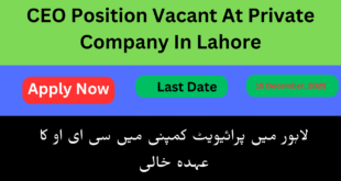 CEO Position Vacant At Private Company In Lahore
